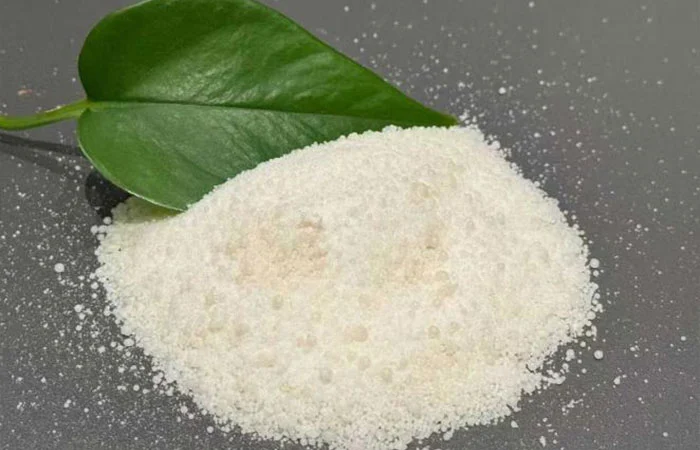 Petarung Es yang Lebih Lembut